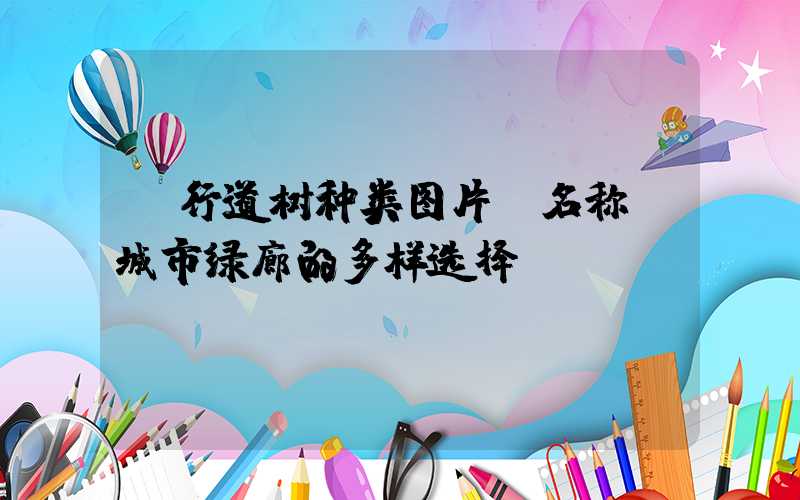 行道树种类图片及名称:城市绿廊的多样选择